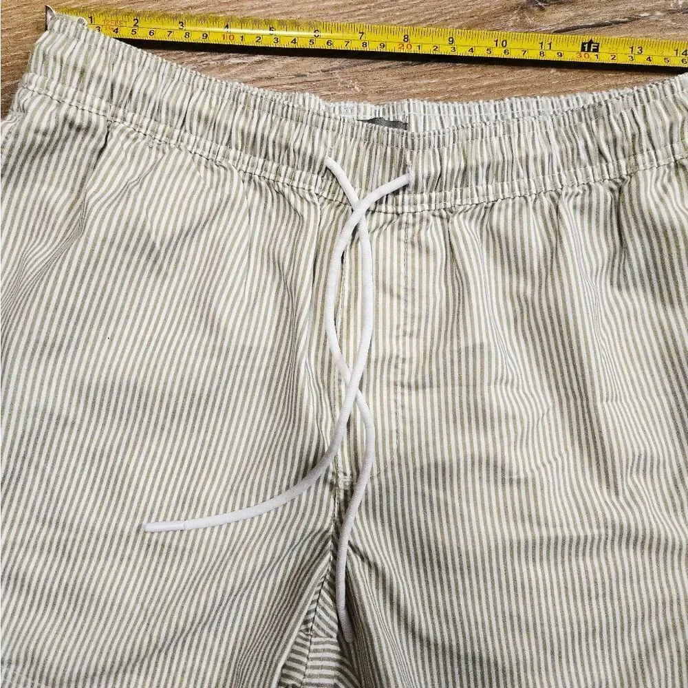 Men's Green Striped Swim Shorts